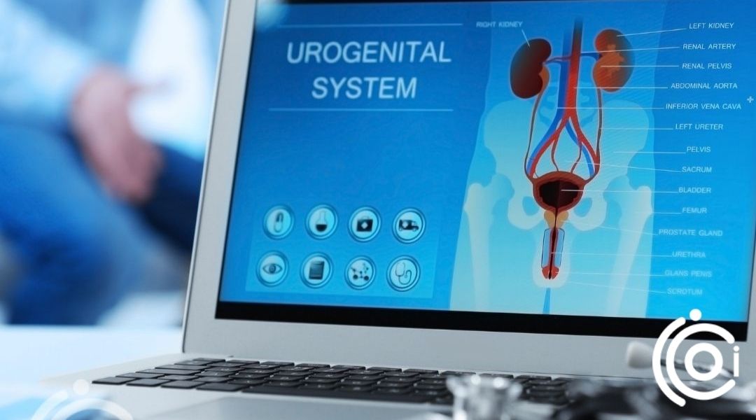 Üroloji ve Kadın Doğum Görseli