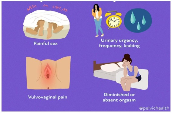 Sağlıklı ve Atrofik vajina doku karşılaştırması